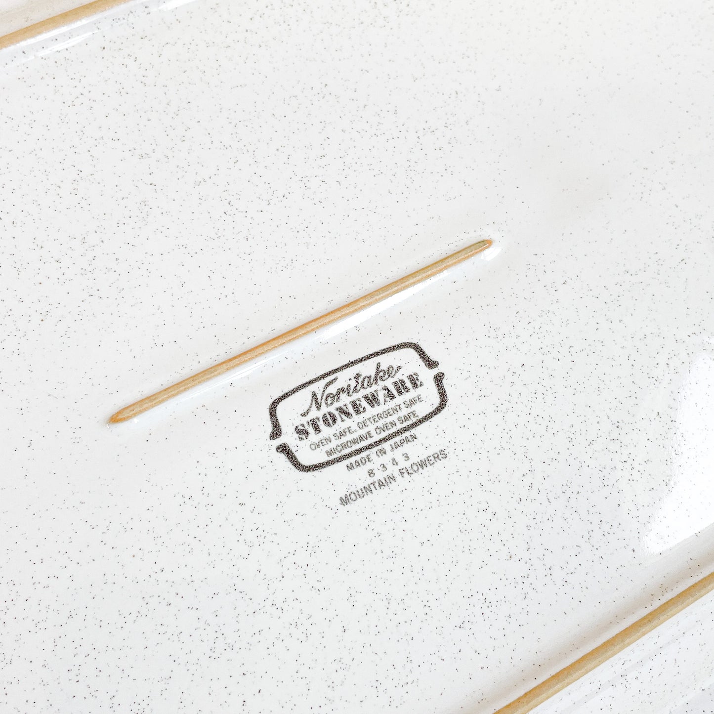 Large Noritake stoneware plate