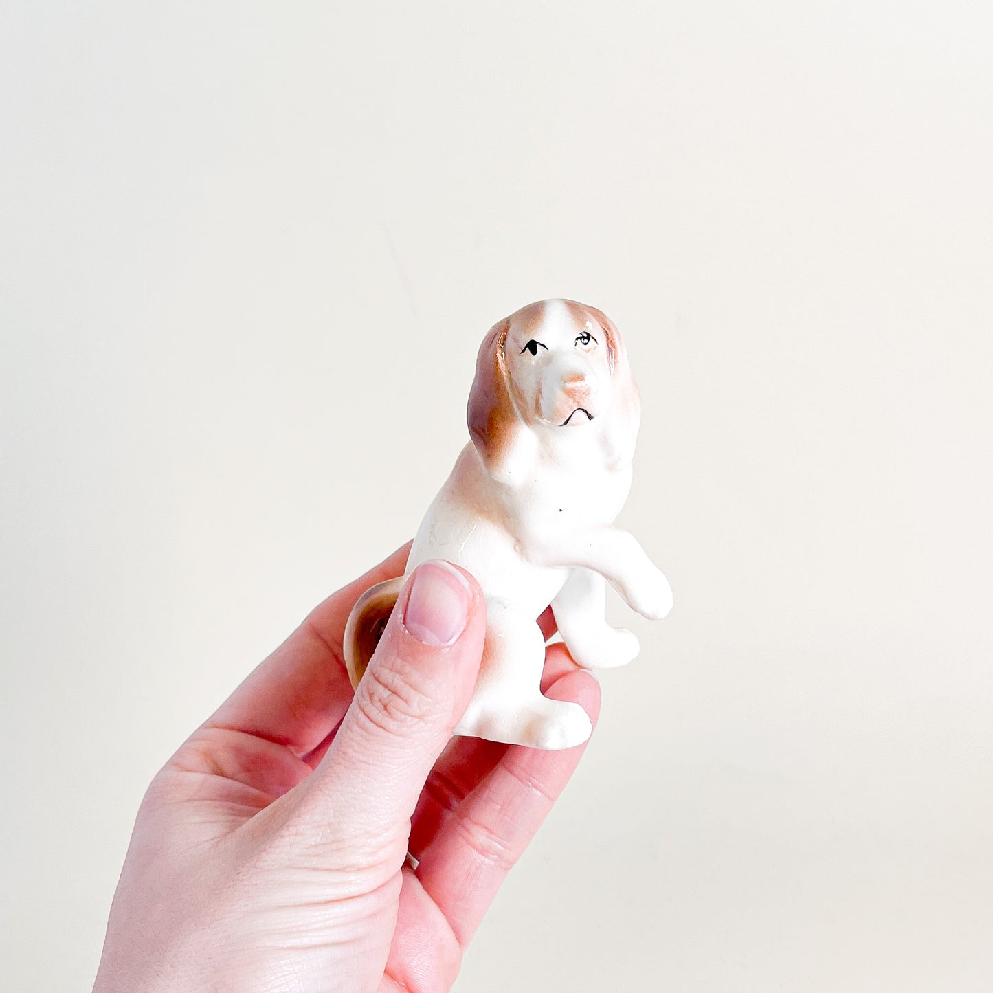 Small ceramic dog paw raised