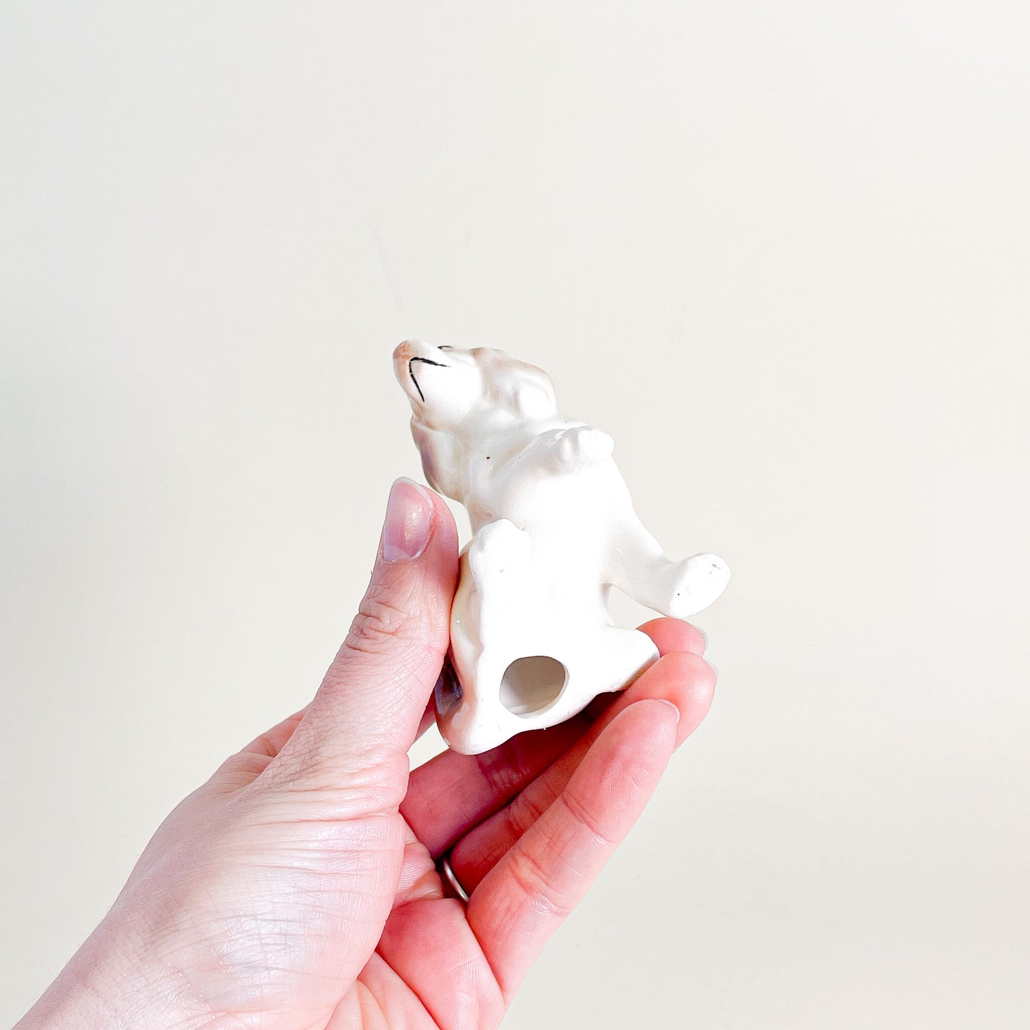 Small ceramic dog paw raised
