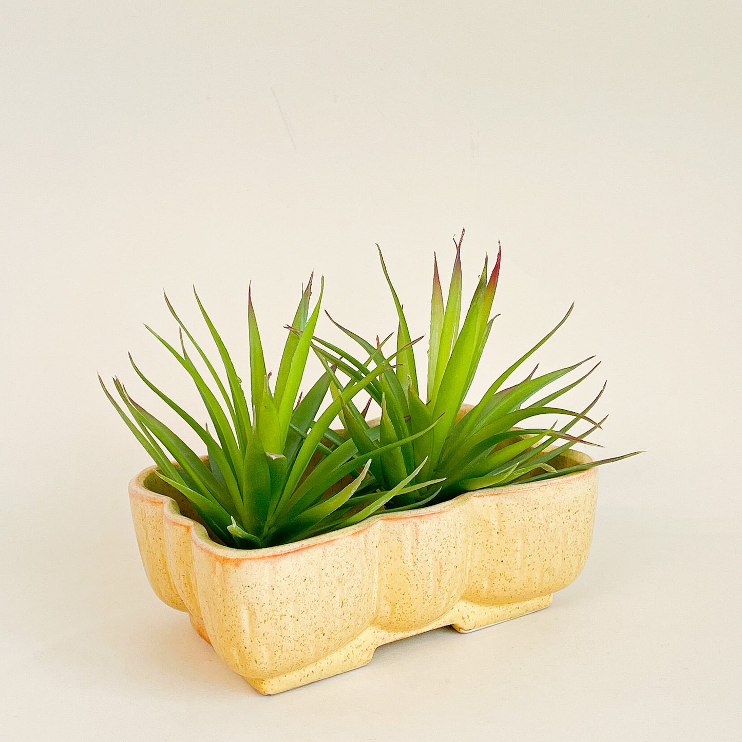 Yellow planter Upco USA