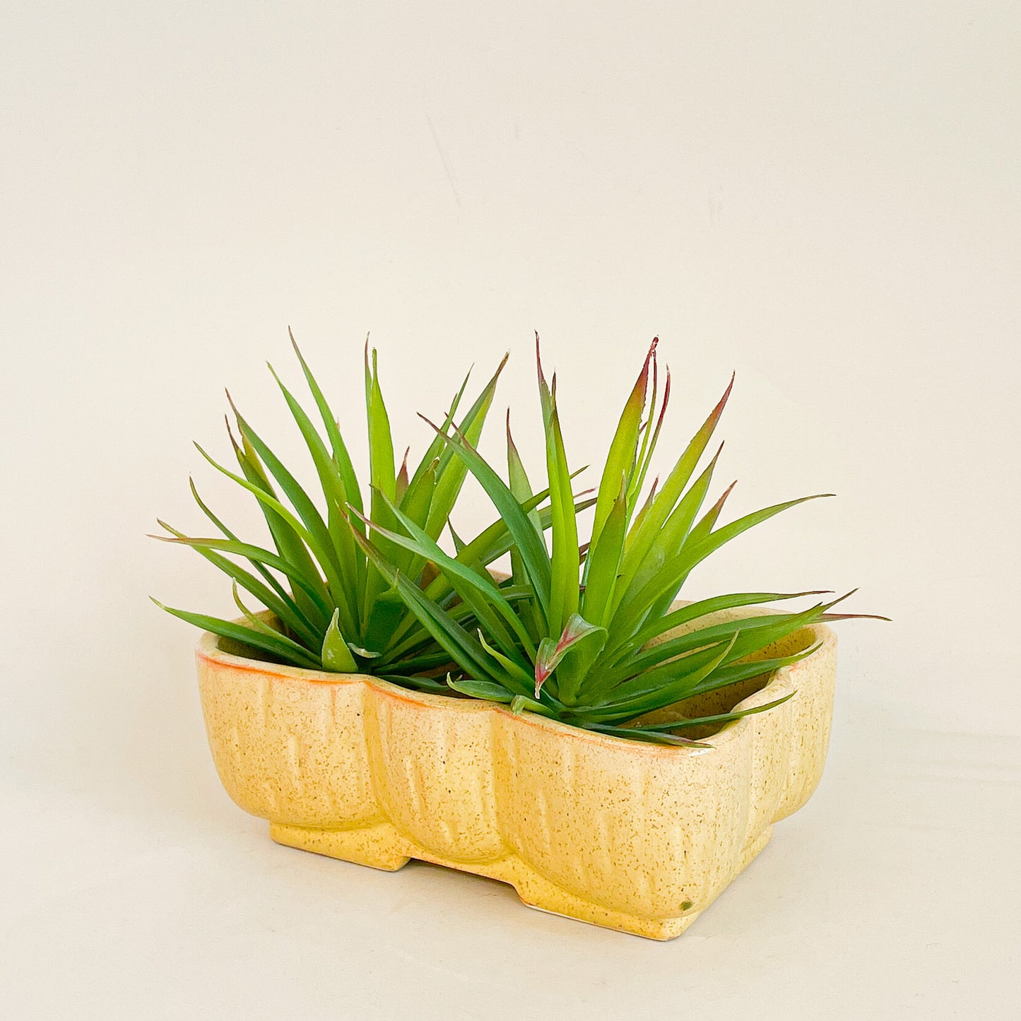 Yellow planter Upco USA