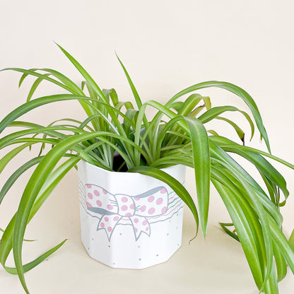 Bow ceramic planter