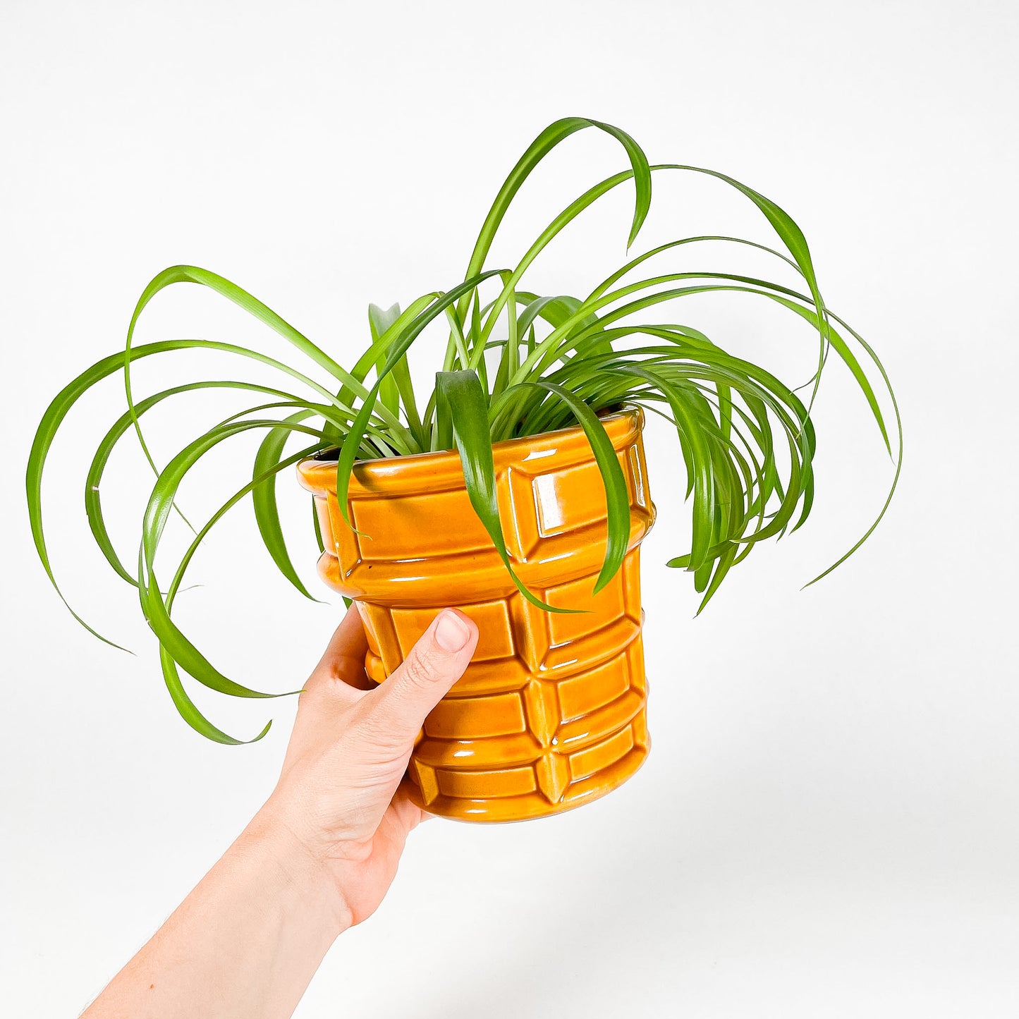 Ceramic ice cream cone planter